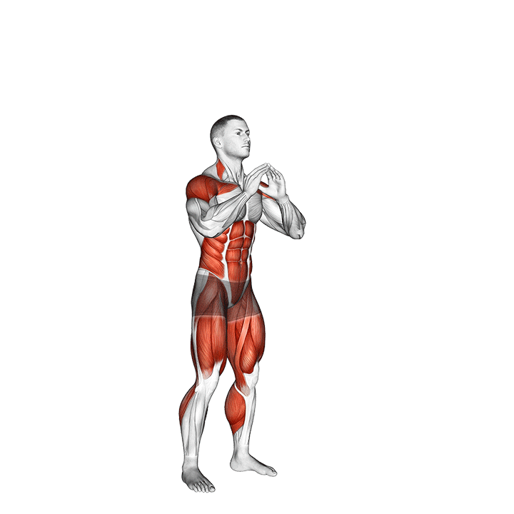 Burpee