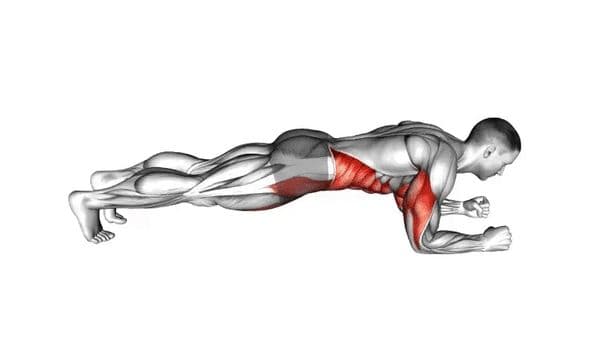 Plank